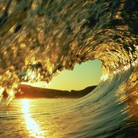 wave